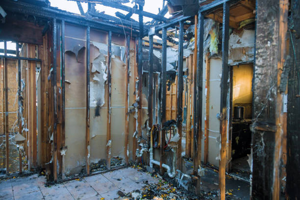 Professional Fire Damage Removal technician working in Adelino, NM